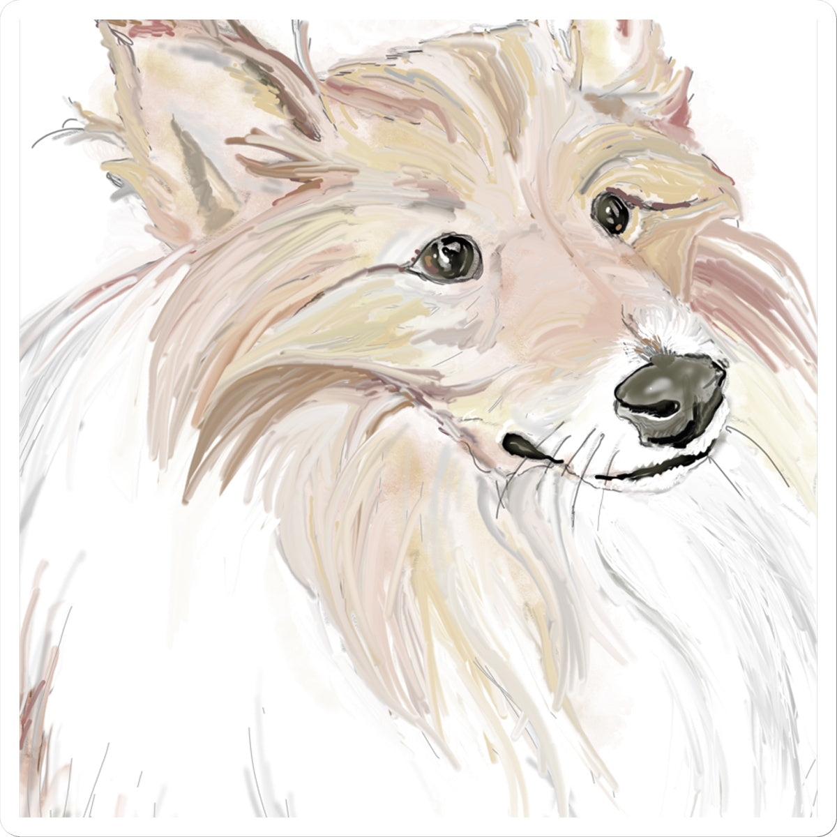 Sheltie Portrait  Sticker