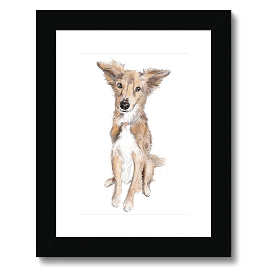 Saluki Portrait  Framed & Mounted Print