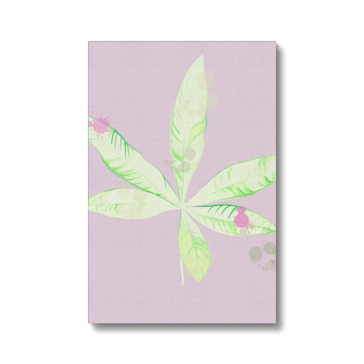 Pachira Houseplant Canvas