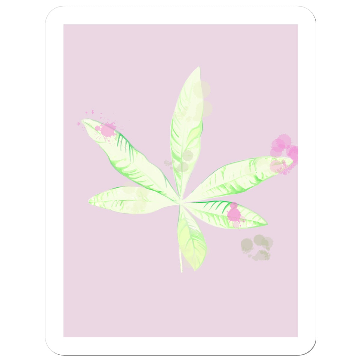 Pachira Houseplant Sticker