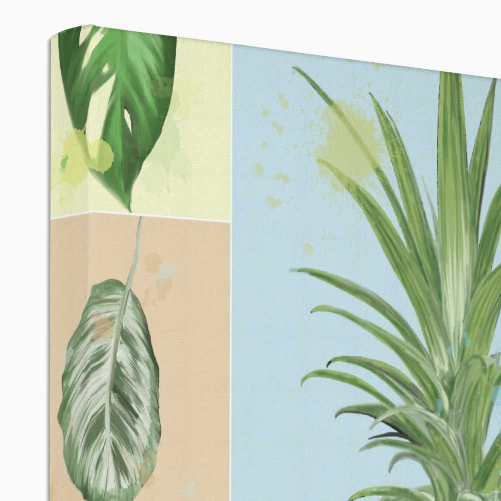 Houseplants Canvas