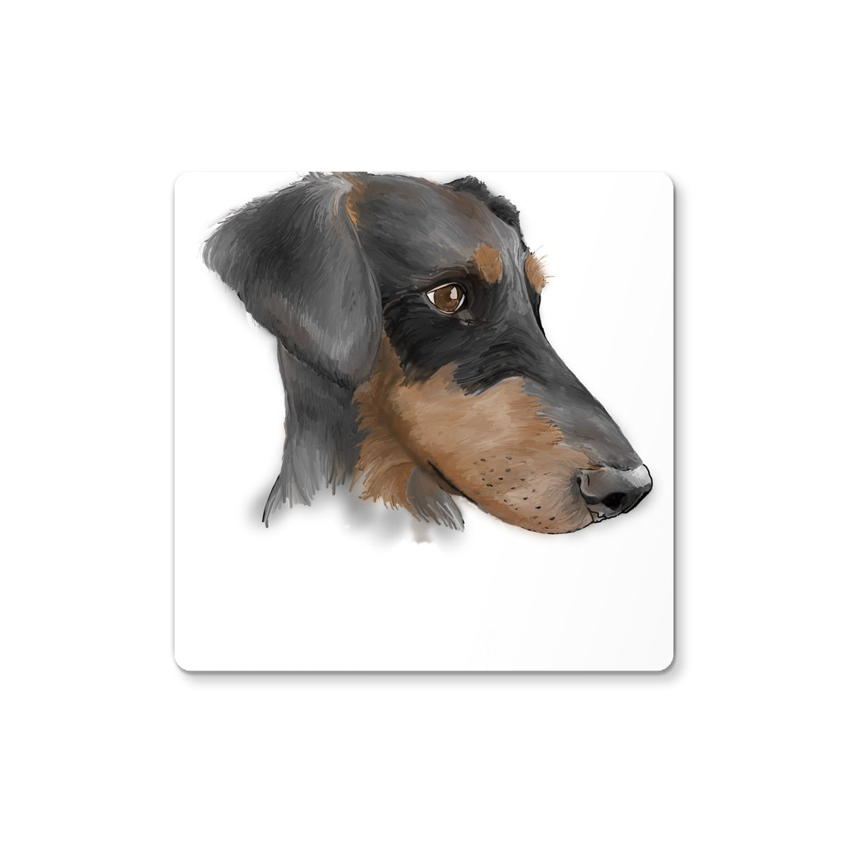 Dobermann Portrait  Coaster