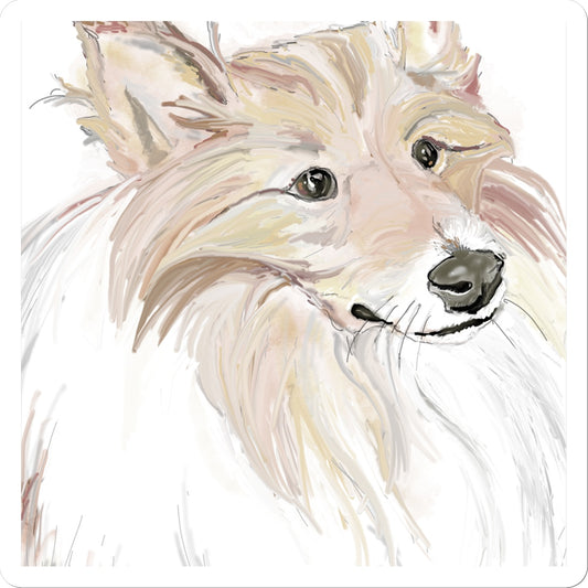 Sheltie Portrait  Sticker