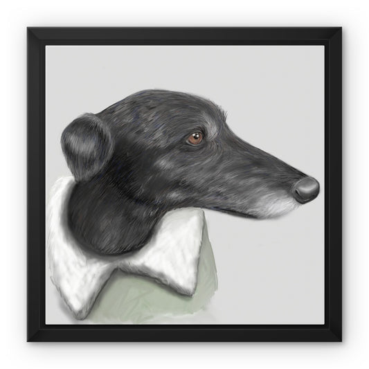 Greyhound Portrait Framed Canvas