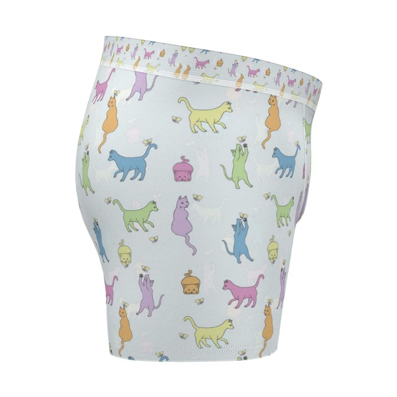 Rainbow Cats Together Boxer Briefs