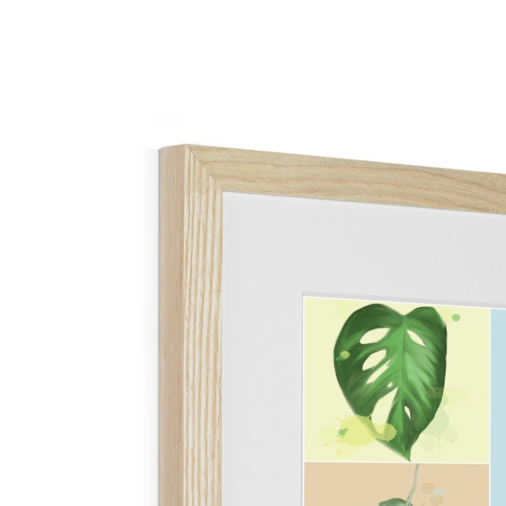 Houseplants Framed & Mounted Print