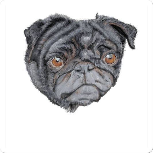 Pug Portrait  Sticker