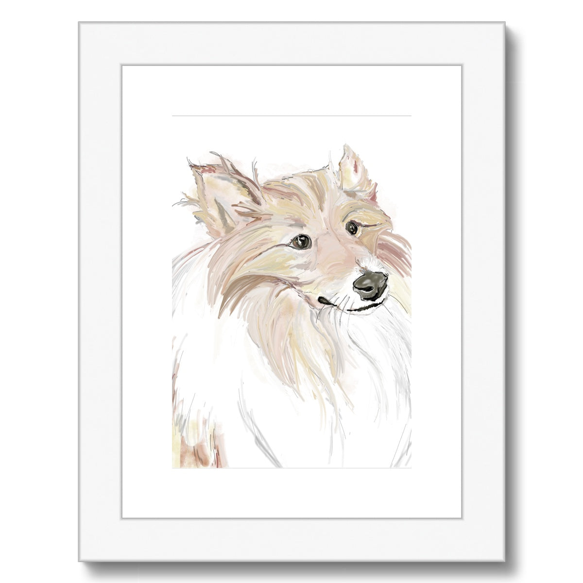 Sheltie Portrait  Framed & Mounted Print