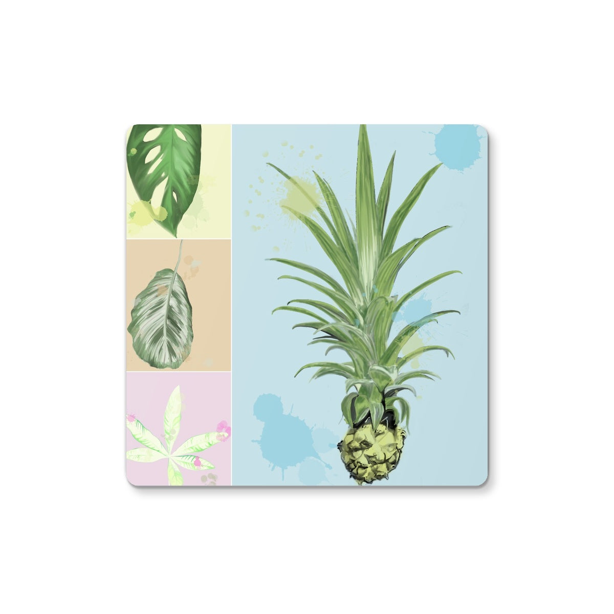 Houseplants Coaster