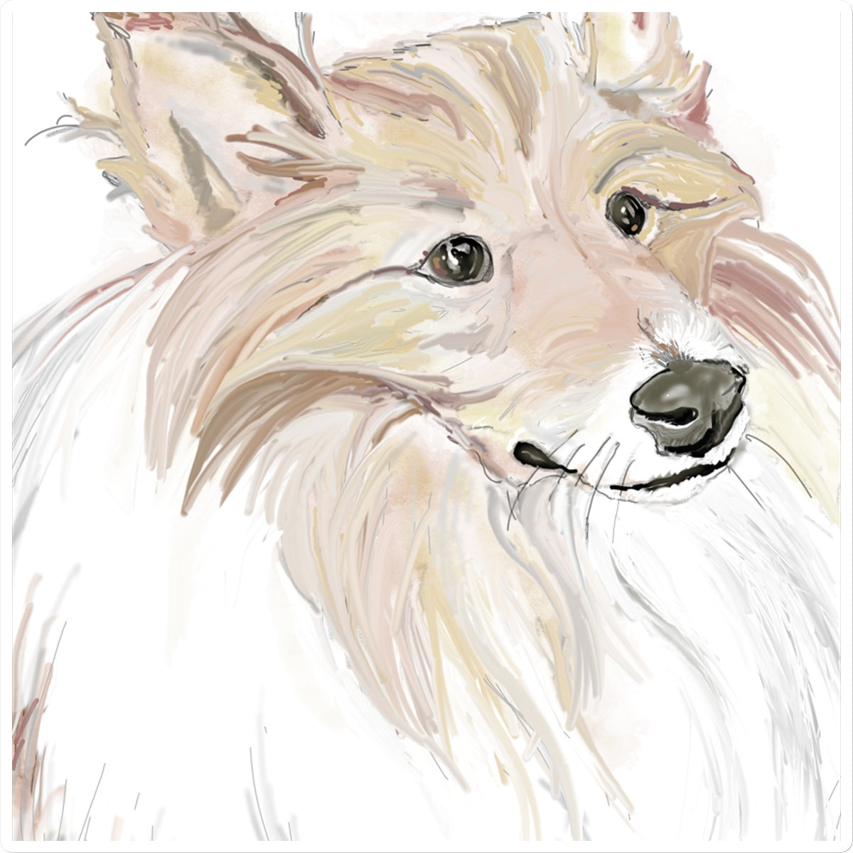 Sheltie Portrait  Sticker