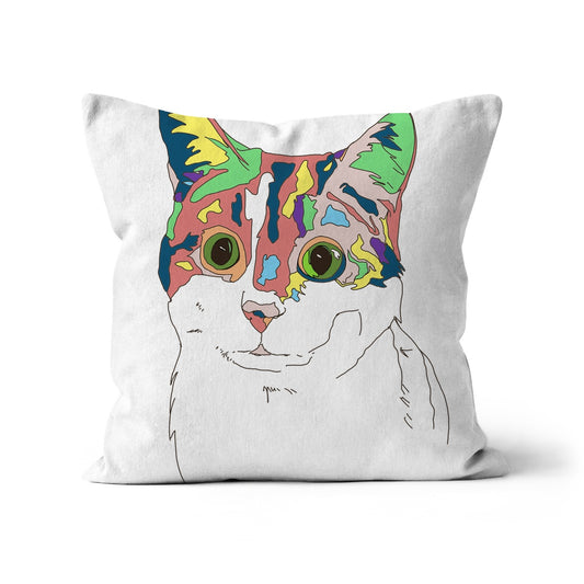 Kaleidoscope Cat Cushion