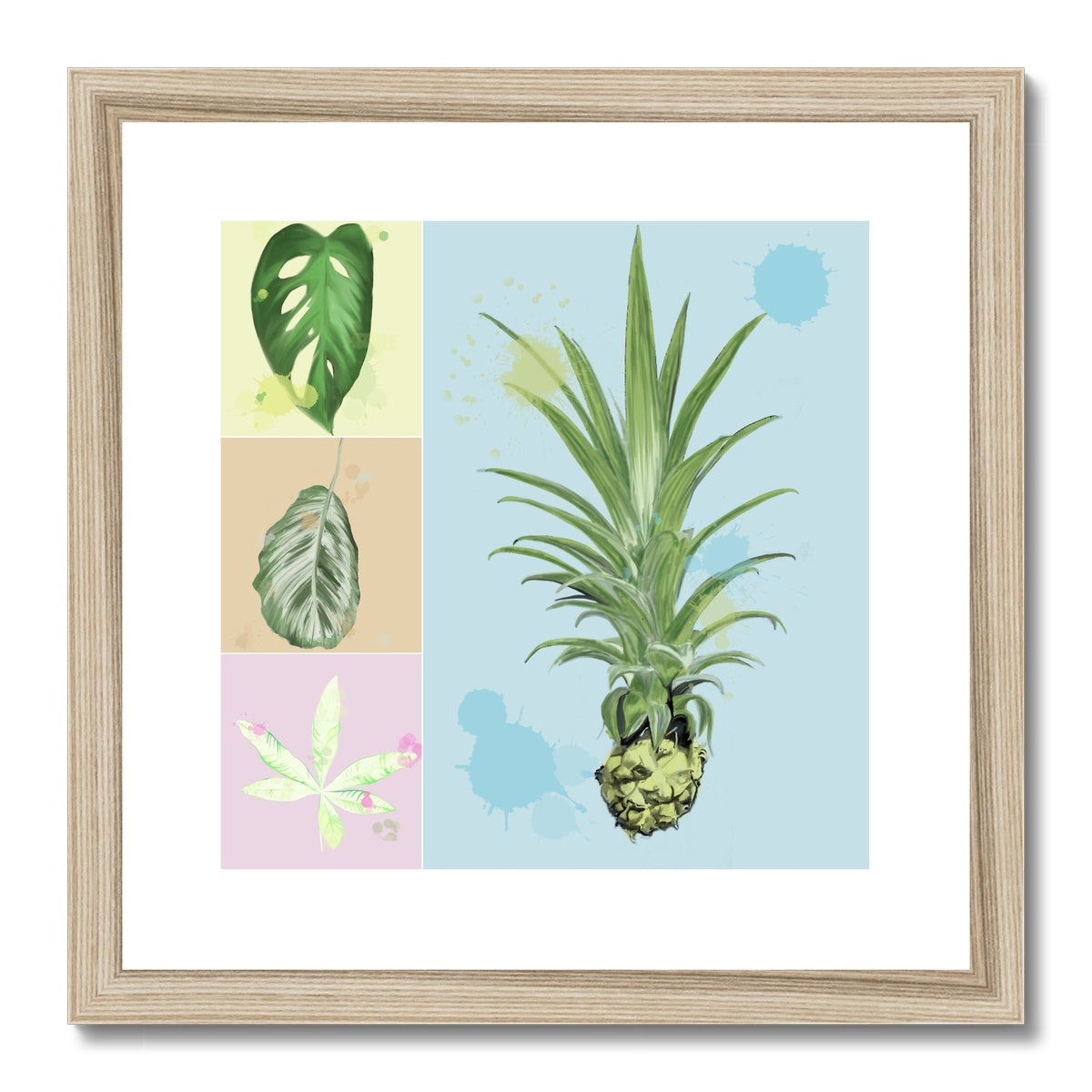 Houseplants Framed & Mounted Print