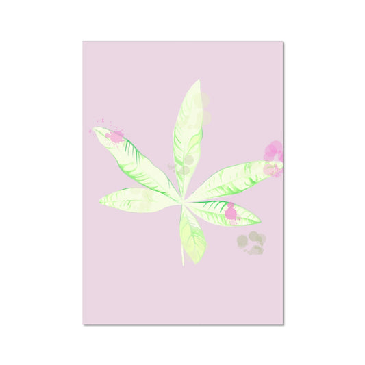 Pachira Houseplant Fine Art Print