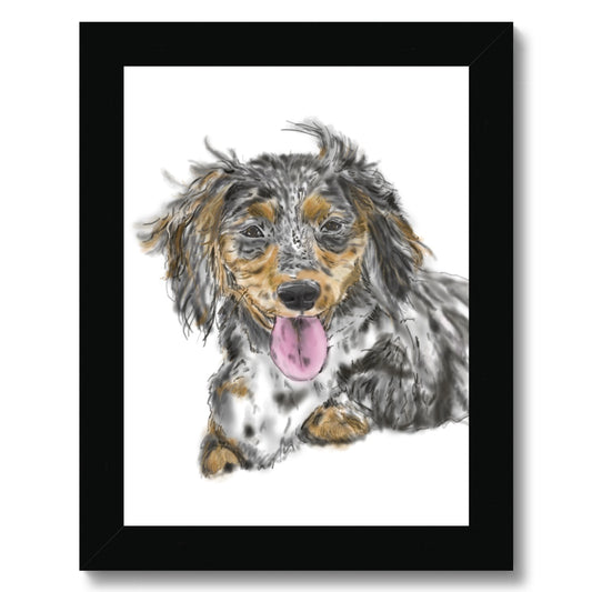 Dachshund Cross Portrait  Framed Print