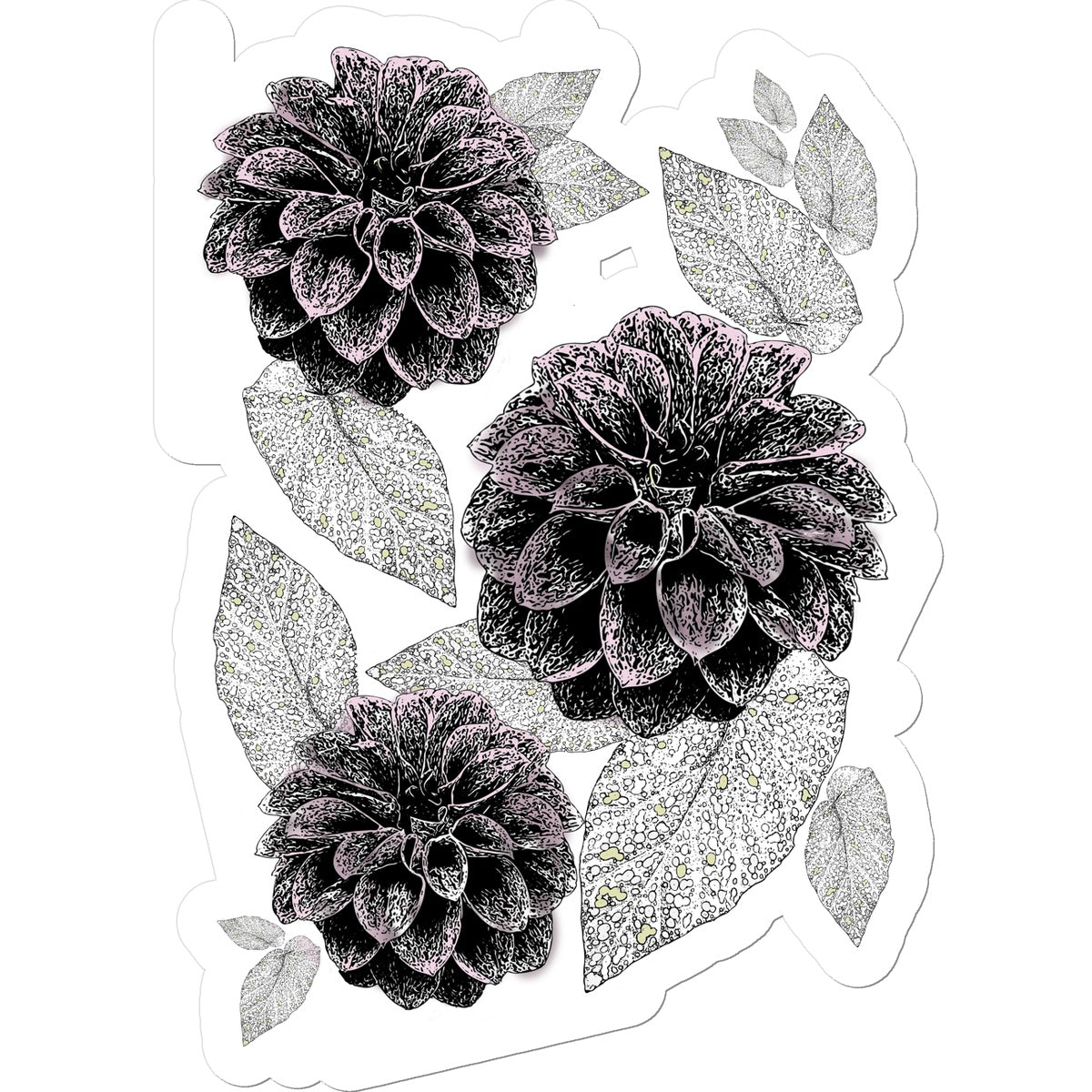 Dahlia Craze Sticker