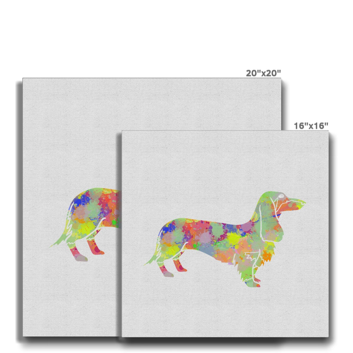 Rainbow Splash Sausage Dog Eco Canvas