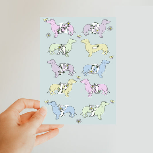 Rainbow Dogs Dachshund Birthday Greetings Card Classic Postcard