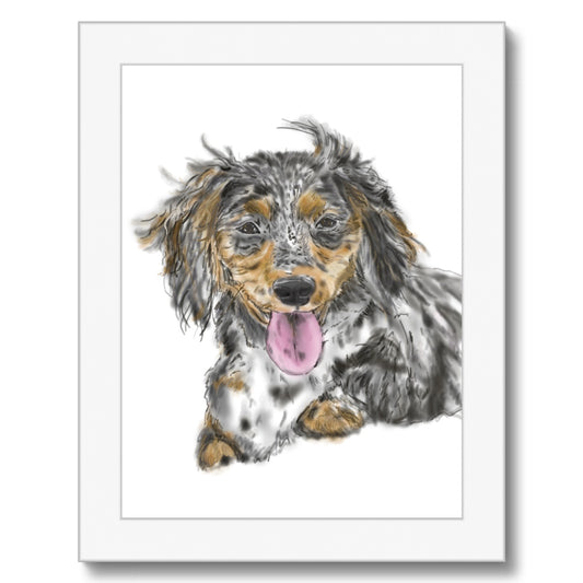 Dachshund Cross Portrait  Framed Print