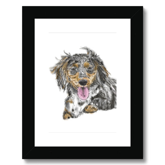 Dachshund Cross Portrait  Framed & Mounted Print