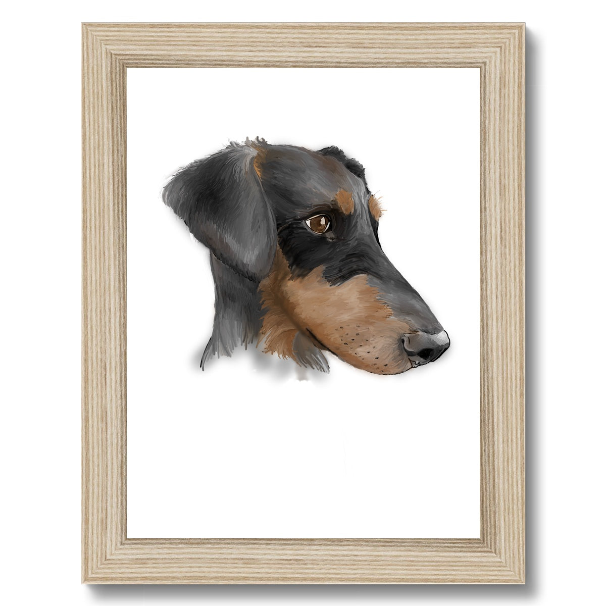 Dobermann Portrait  Framed Print