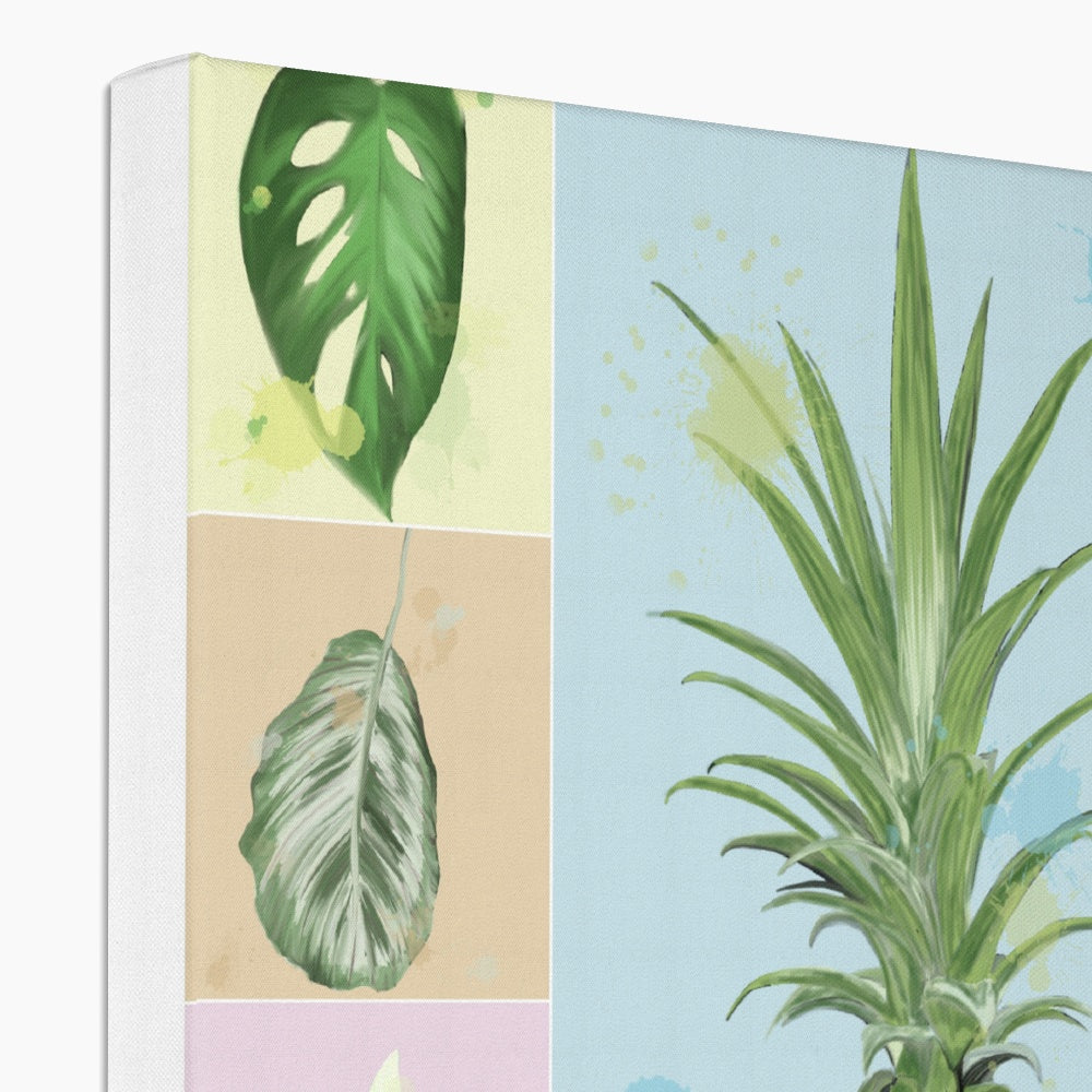 Houseplants Canvas