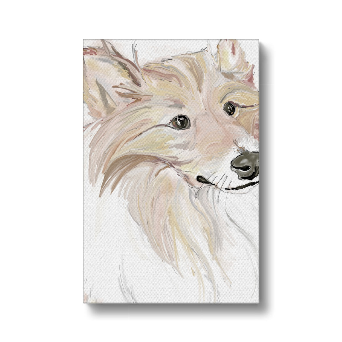 Sheltie Portrait  Canvas