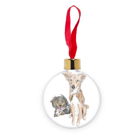 Customer Requests Nicky & Eevee Pet Portrait  Transparent Christmas bauble