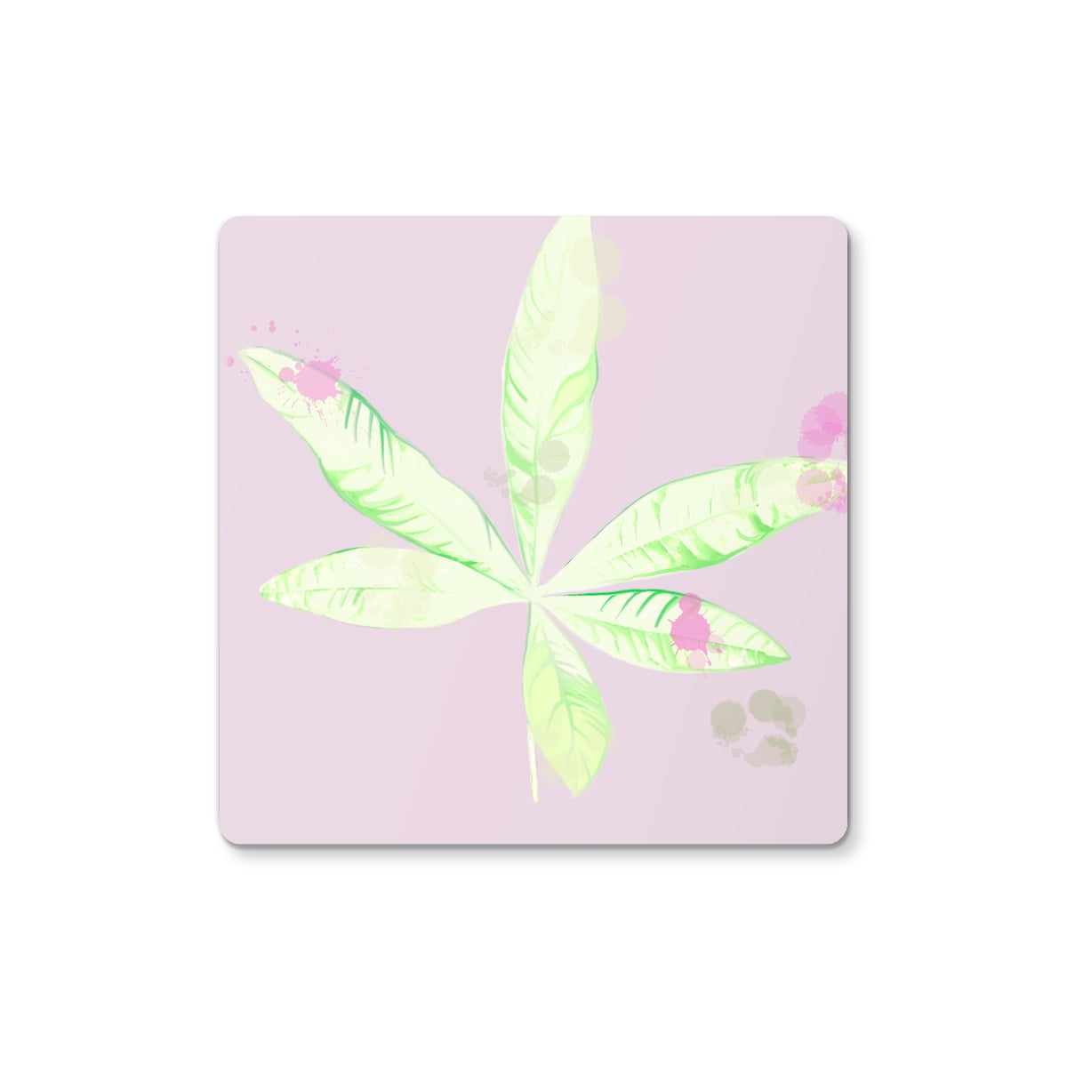 Pachira Houseplant Coaster