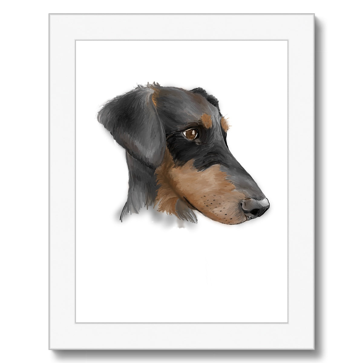 Dobermann Portrait  Framed Print