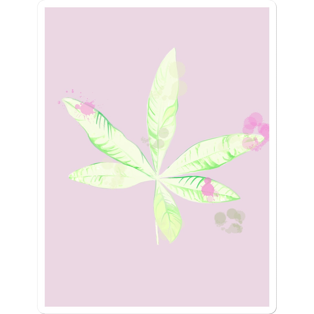 Pachira Houseplant Sticker