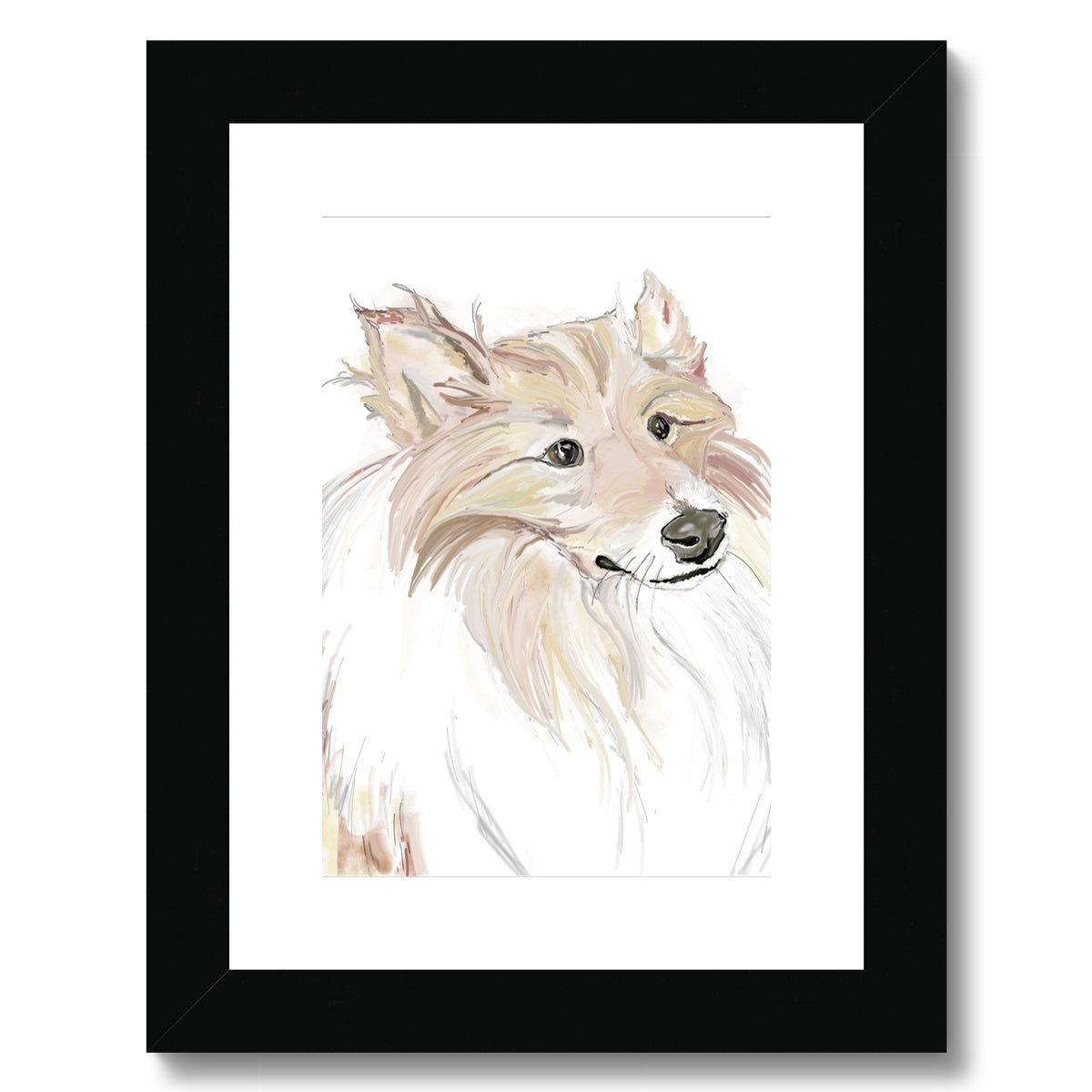 Sheltie Portrait  Framed & Mounted Print