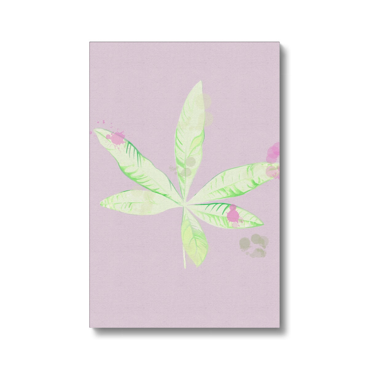 Pachira Houseplant Canvas