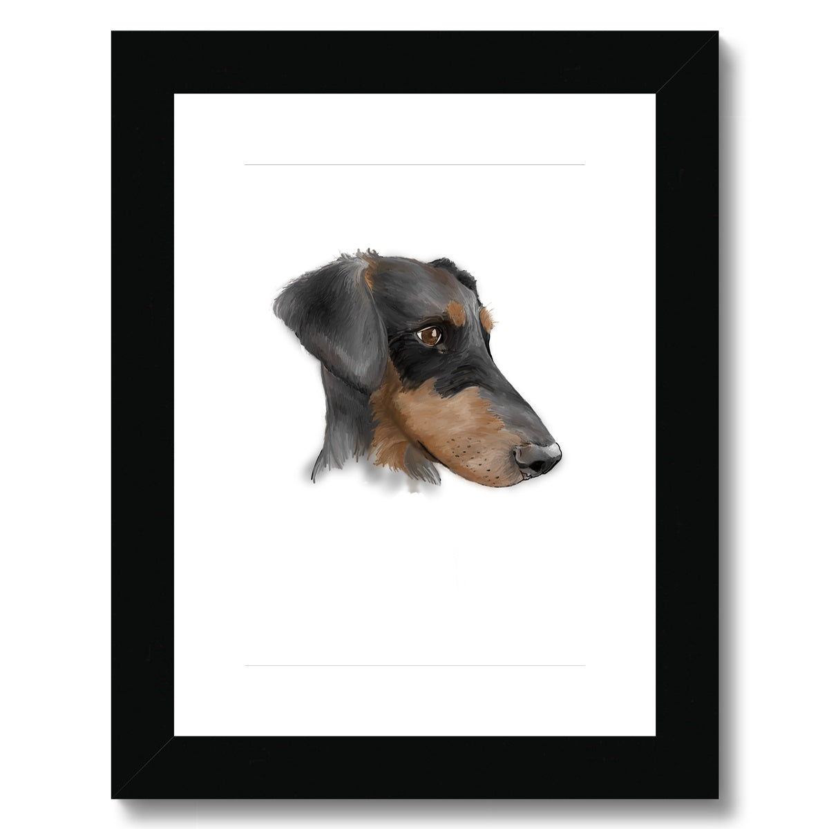 Dobermann Portrait  Framed & Mounted Print