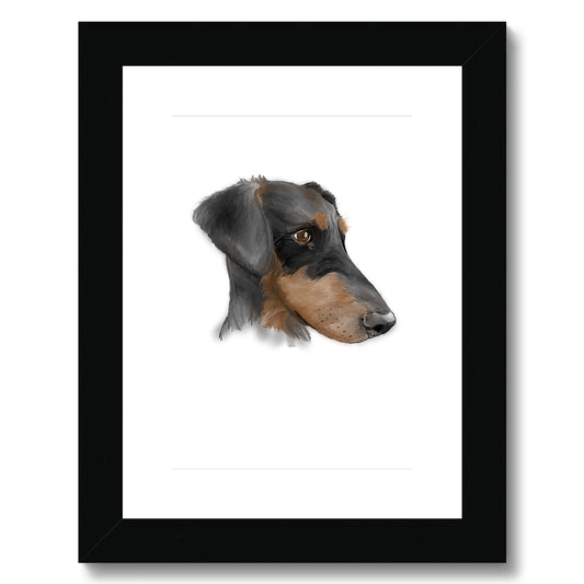 Dobermann Portrait  Framed & Mounted Print