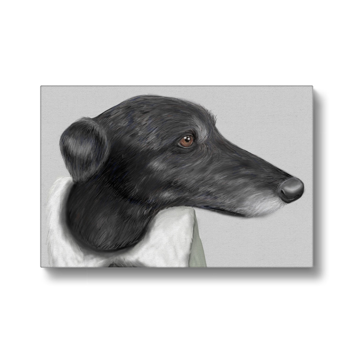 Greyhound Portrait Canvas