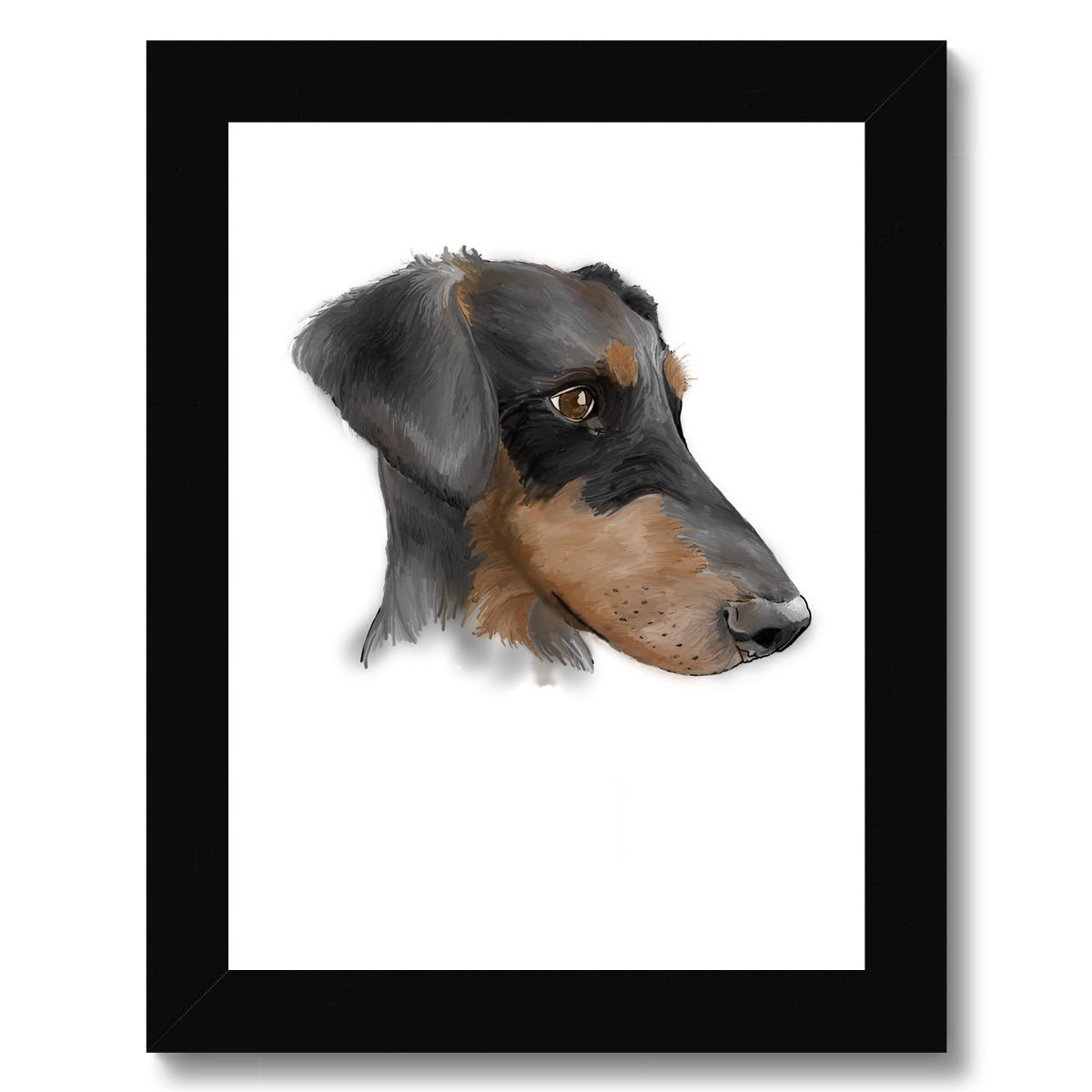 Dobermann Portrait  Framed Print