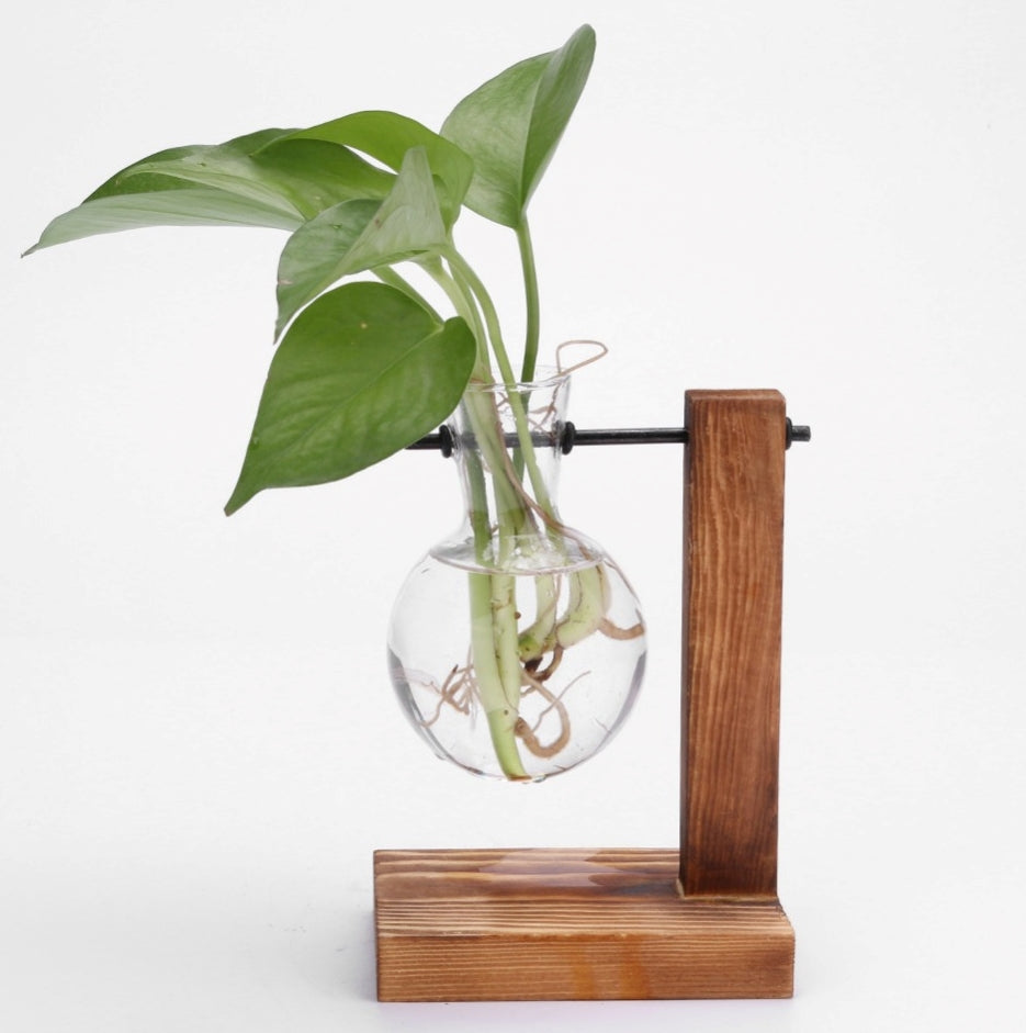 Hydroponic Desktop Propagator Vase