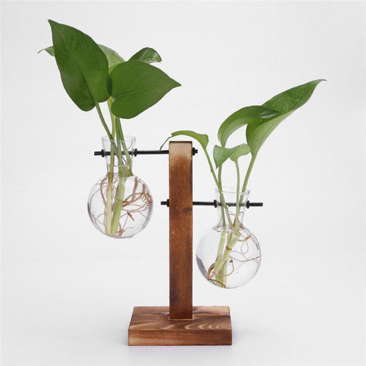 Hydroponic Desktop Propagator Vase