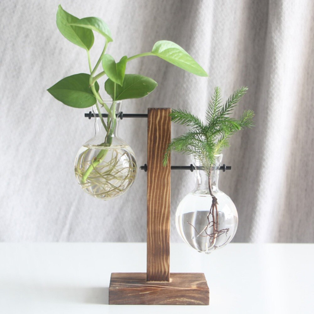 Hydroponic Desktop Propagator Vase