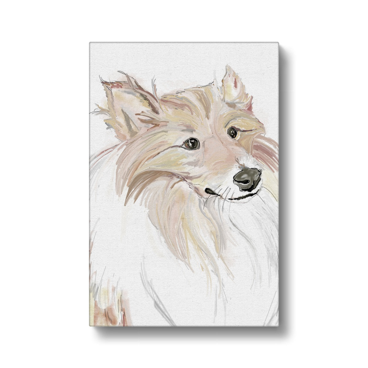 Sheltie Portrait  Canvas