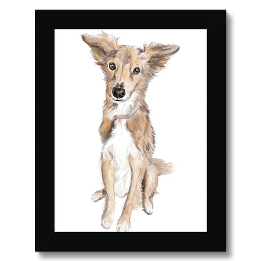 Saluki Portrait  Framed Print