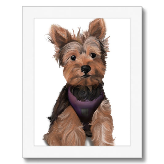 Customer Request Griffin Framed Print