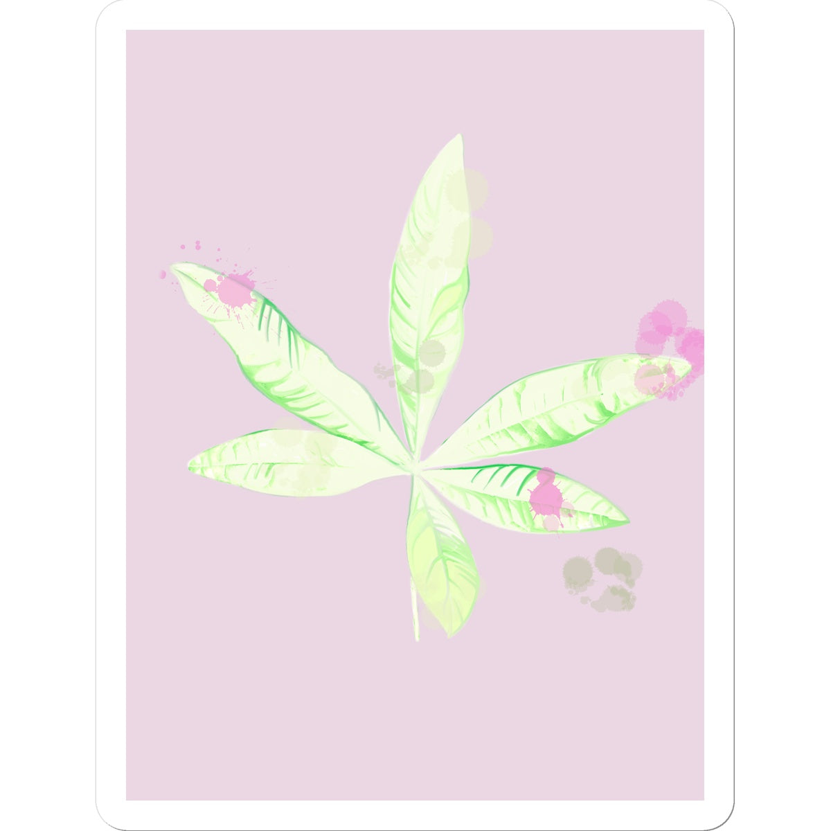 Pachira Houseplant Sticker