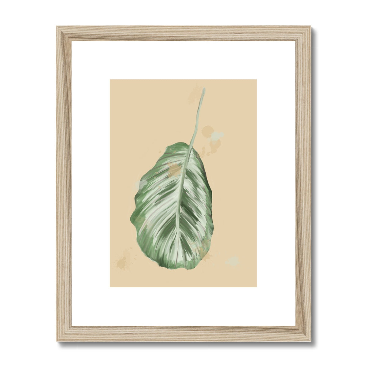 Peacock Houseplant  Framed & Mounted Print