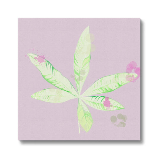 Pachira Houseplant Canvas