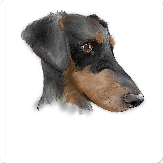 Dobermann Portrait  Sticker