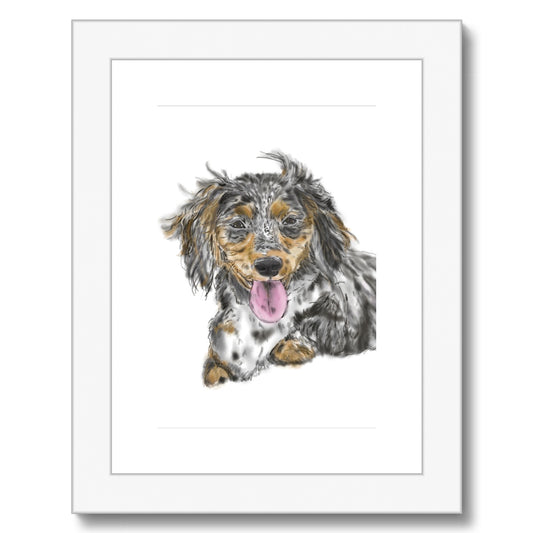 Dachshund Cross Portrait  Framed & Mounted Print