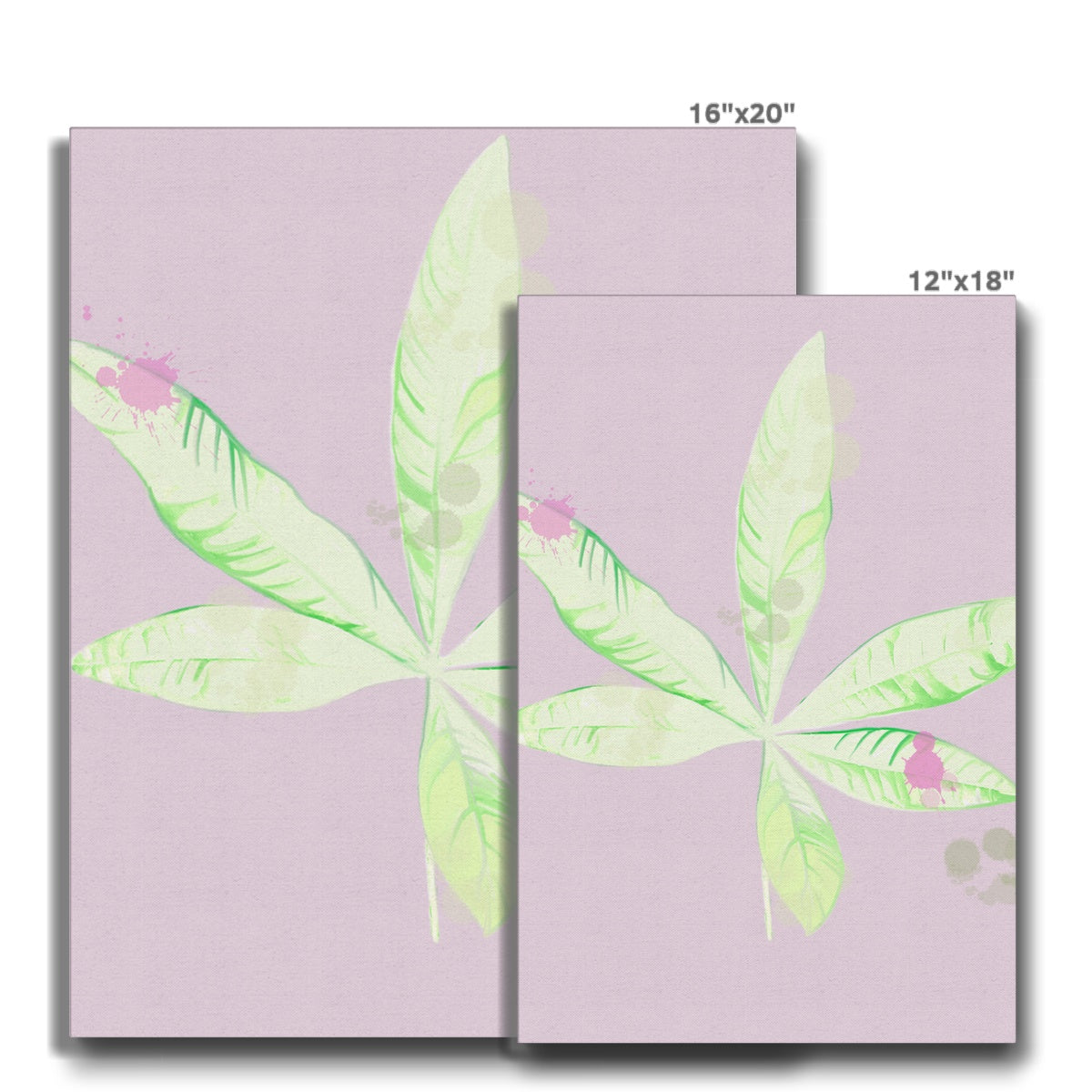 Pachira Houseplant Canvas