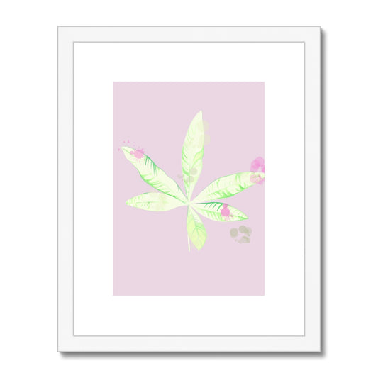 Pachira Houseplant Framed & Mounted Print