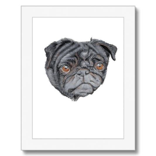 Pug Portrait  Framed Print